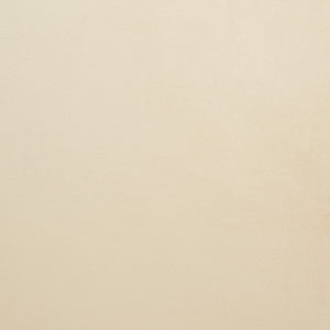 Safavieh Evangeline Velvet Parisian Sofa SFV2101F