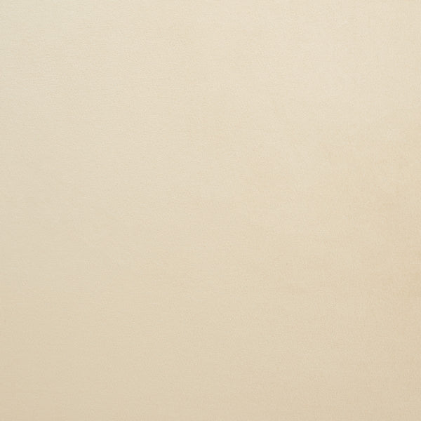 Safavieh Evangeline Velvet Parisian Sofa SFV2101F