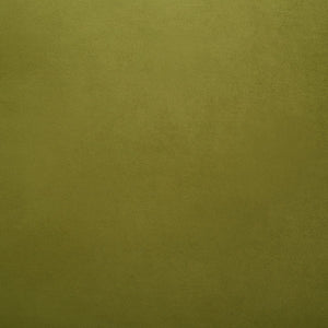 Safavieh Evangeline Velvet Parisian Sofa SFV2101G