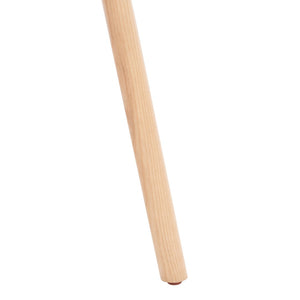 Safavieh Kristianna Rattan Back Dining ChairSFV4127B-SET2