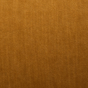 Kiana Modern Accent Chair Mustard Wood / Fabric / Foam  SFV4527B