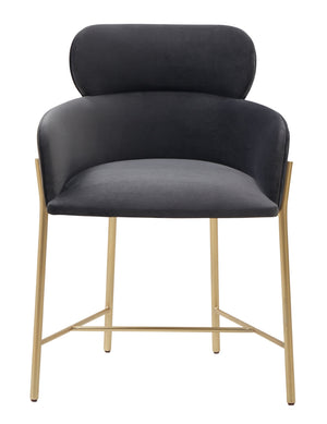 Safavieh Charlize Velvet Dining Chair Dark Grey / Gold SFV4757B