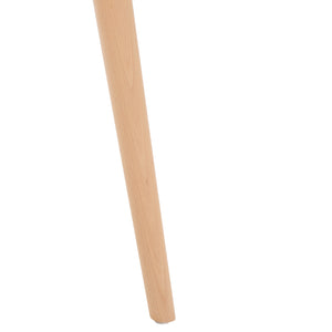 Haddie Molded Plastic Dining Chair - Timeless Mid-Century Design with Natural Wood Legs, Stylish Comfort