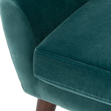 Jayana Barrel Back Accent Chair