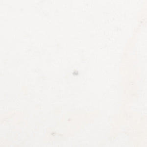 Jessa Forged Metal Round End Table Brass / White Forged Metal / White Marble SFV9505C