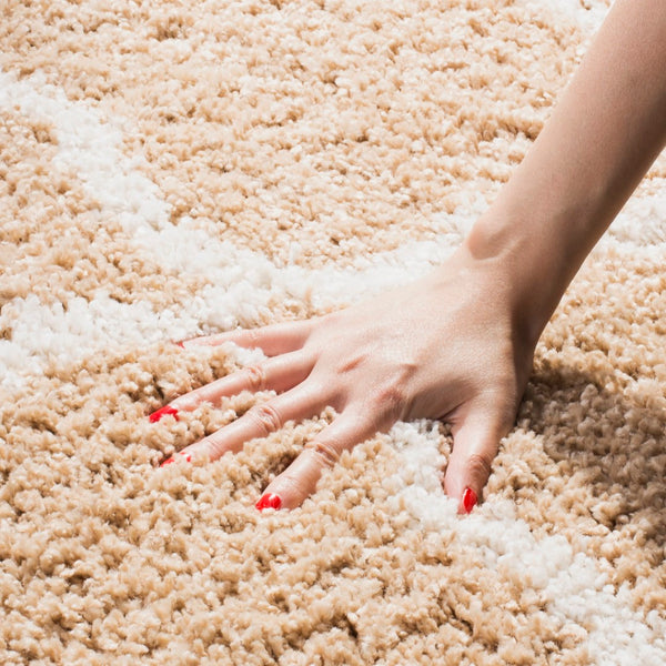 Safavieh New York Shag 168 Turkey Polypropylene Pile Rug SG168G-9