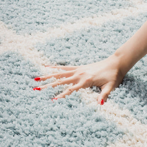 Safavieh New York Shag 169 Turkey Polypropylene Pile Rug SG169D-5