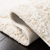 Safavieh Florida Shag Power Loomed Polypropylene Pile Shag Rug SG455-1111-4SQ