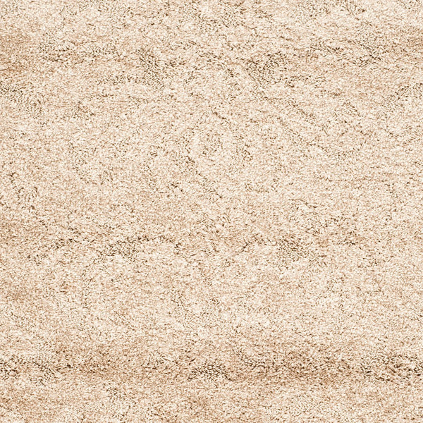 Safavieh Florida Shag Power Loomed Polypropylene Pile Shag Rug SG460-1311-221