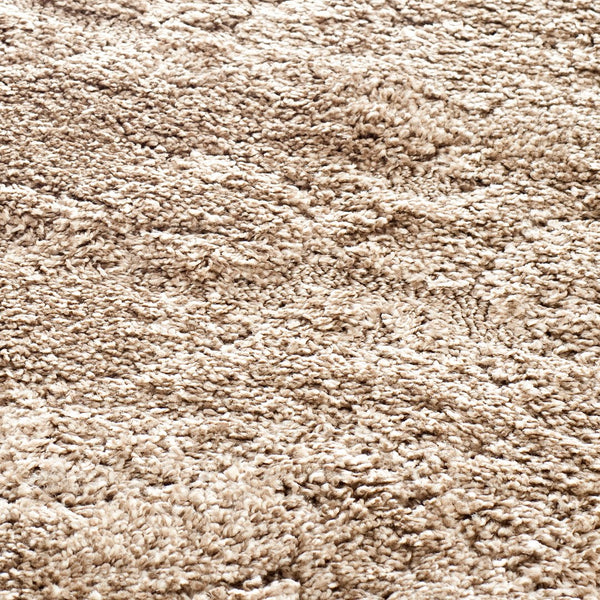 Safavieh Florida Shag Power Loomed Polypropylene Pile Shag Rug SG460-1311-4R