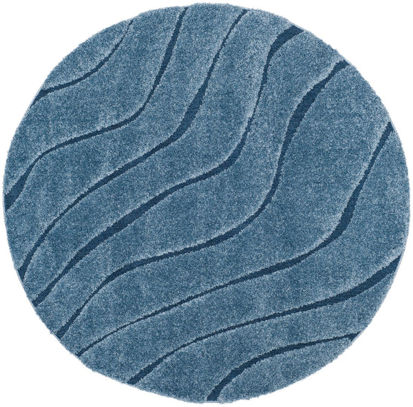 Safavieh Florida Shag 472 Power Loomed Polypropylene Pile Shag Rug SG472-6065-4R