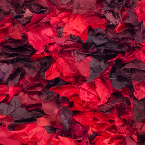 Safavieh Rio Shag Hand Woven Polyester Rug SG951E-2339