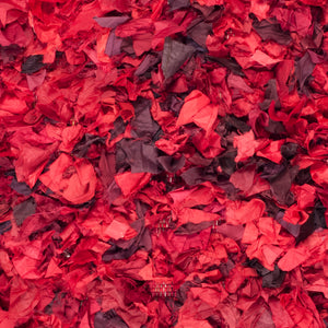 Safavieh Rio Shag Hand Woven Polyester Rug SG951E-2339