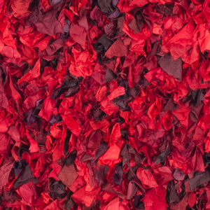 Safavieh Rio Shag Hand Woven Polyester Rug SG951E-2339