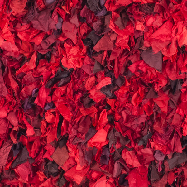 Safavieh Rio Shag Hand Woven Polyester Rug SG951E-2339