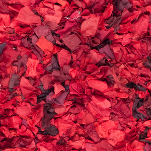 Safavieh Rio Shag Hand Woven Polyester Rug SG951E-2339