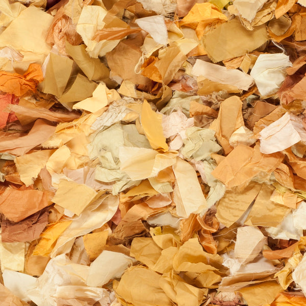 Safavieh Rio Shag Hand Woven Polyester Rug SG951G-2339