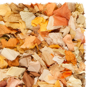 Safavieh Rio Shag Hand Woven Polyester Rug SG951G-2339