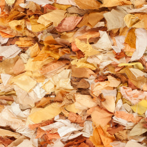 Safavieh Rio Shag Hand Woven Polyester Rug SG951G-2339