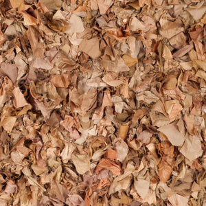 Safavieh Rio Shag Hand Woven Polyester Rug SG951N-2339