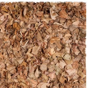 Safavieh Rio Shag Hand Woven Polyester Rug SG951N-2339