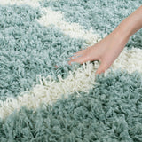 Safavieh Dallas Shag 257 Flat Weave Polypropylene Shag & Flokati Rug SGD257C-4