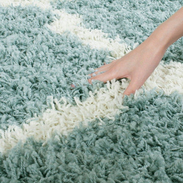 Safavieh Dallas Shag 257 Flat Weave Polypropylene Shag & Flokati Rug SGD257C-24