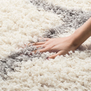 Safavieh Dallas Shag 257 Flat Weave Polypropylene Shag & Flokati Rug SGD257F-8SQ