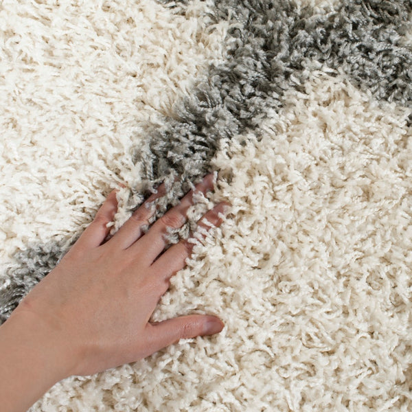 Safavieh Dallas Shag 257 Flat Weave Polypropylene Shag & Flokati Rug SGD257F-4