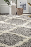 Safavieh Dallas Shag 257 Flat Weave Polypropylene Shag & Flokati Rug SGD257G-4SQ