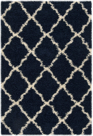Safavieh Dallas Shag 257 Polypropylene Pile Power Loomed Shag & Flokati Rug SGD257N-10SQ