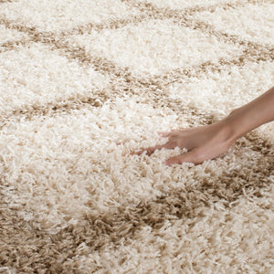 Safavieh Dallas Shag 258 Flat Weave Polypropylene Shag & Flokati Rug SGD258B-26