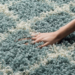 Safavieh Dallas Shag 258 Flat Weave Polypropylene Shag & Flokati Rug SGD258C-210