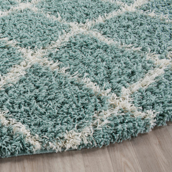 Safavieh Dallas Shag 258 Flat Weave Polypropylene Shag & Flokati Rug SGD258C-210