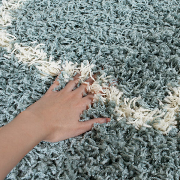 Safavieh Dallas Shag 258 Flat Weave Polypropylene Shag & Flokati Rug SGD258C-210