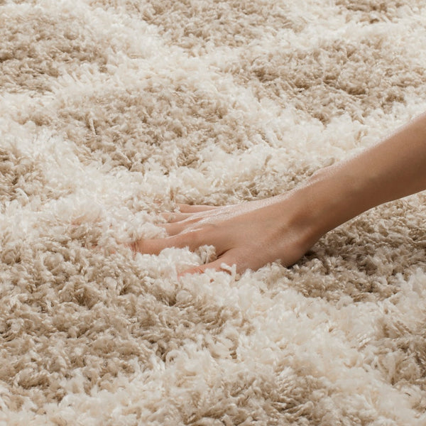 Safavieh Dallas Shag 258 Flat Weave Polypropylene Shag & Flokati Rug SGD258D-210