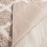 Safavieh Dallas Shag 258 Flat Weave Polypropylene Shag & Flokati Rug SGD258D-210