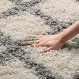 Safavieh Dallas Shag 258 Flat Weave Polypropylene Shag & Flokati Rug SGD258F-26