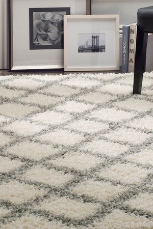 Safavieh Dallas Shag 258 Flat Weave Polypropylene Shag & Flokati Rug SGD258F-26