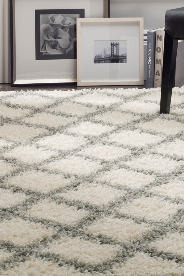 Safavieh Dallas Shag 258 Flat Weave Polypropylene Shag & Flokati Rug SGD258F-26