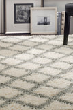 Safavieh Dallas Shag 258 Flat Weave Polypropylene Shag & Flokati Rug SGD258F-26