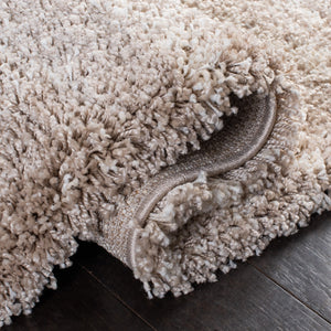 Safavieh Hudson Shag 204 Power Loomed Polypropylene Shag Rug SGH204A-5