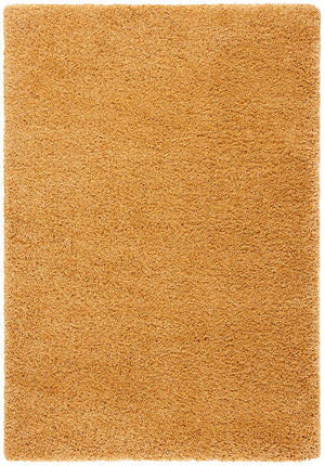 Safavieh Hudson Shag 220 Power Loomed Polypropylene Shag Rug SGH220D-5