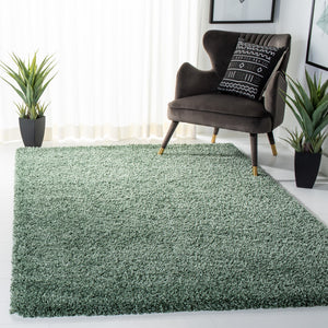 Safavieh Hudson Shag 220 Power Loomed Polypropylene Rug SGH220Y-9