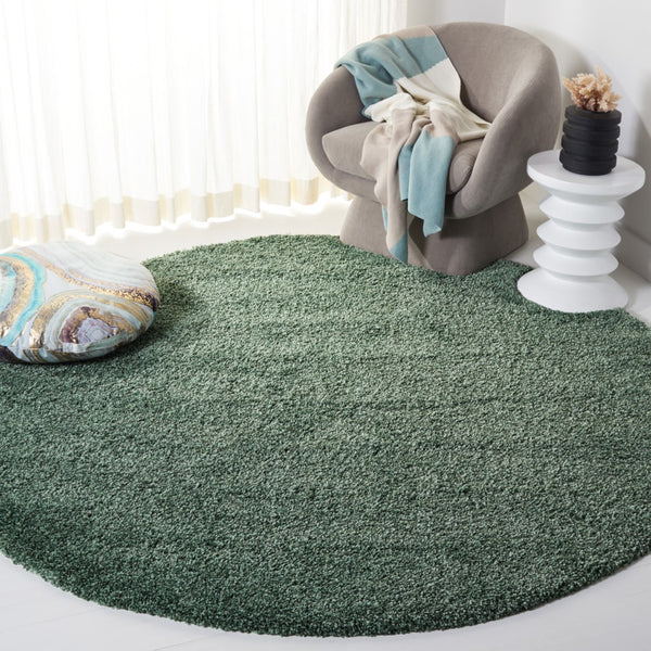 Safavieh Hudson Shag 220 Power Loomed Polypropylene Rug SGH220Y-9