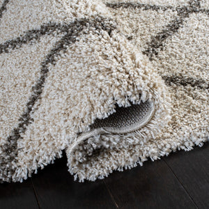 Safavieh Hudson Shag 222 Power Loomed Polypropylene Shag Rug SGH222D-8