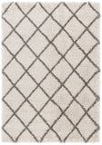 Safavieh Hudson Shag 222 Power Loomed Polypropylene Shag Rug SGH222D-8