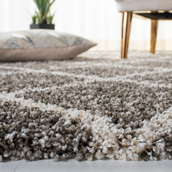 Safavieh Hudson Shag 222 Power Loomed Polypropylene Shag Rug SGH222F-5