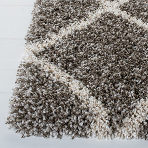 Safavieh Hudson Shag 222 Power Loomed Polypropylene Shag Rug SGH222F-8