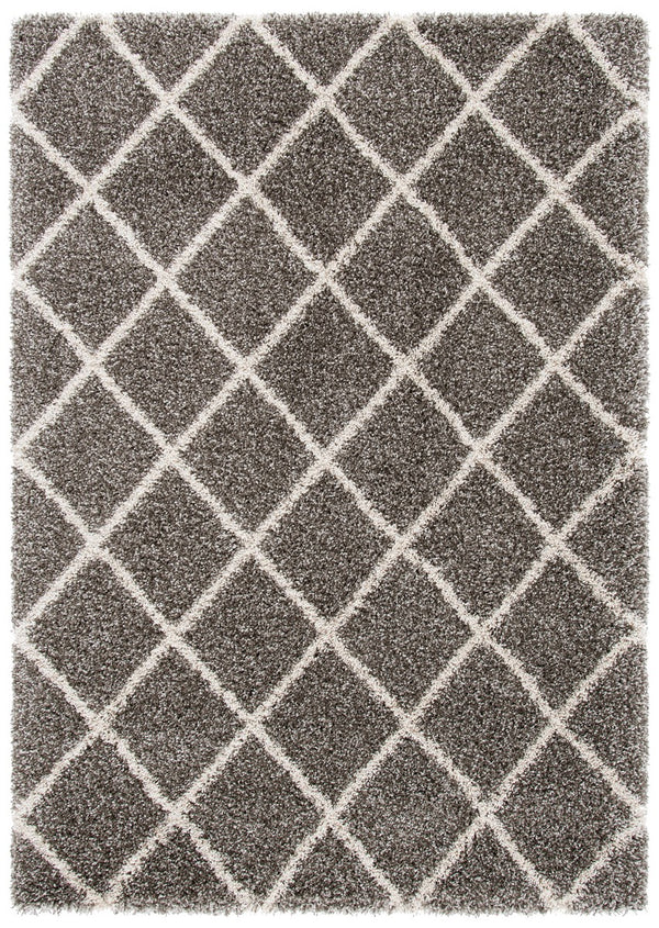 Safavieh Hudson Shag 222 Power Loomed Polypropylene Shag Rug SGH222F-5